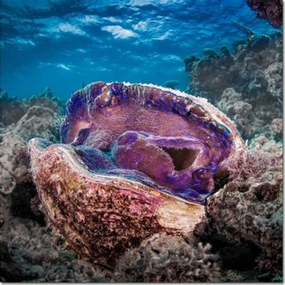  Yoldia! Un Mollusque Bivalve Fascinant Qui Se Cache Dans les Profondeurs de l'Océan