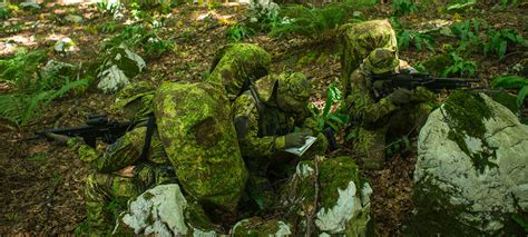  Gromia! Découvrez un Maître du Camouflage et de la Survie dans les Grands Espaces Aquatiques